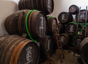 Un auténtico viaje al corazón vitivinícola y cultural del sur de España