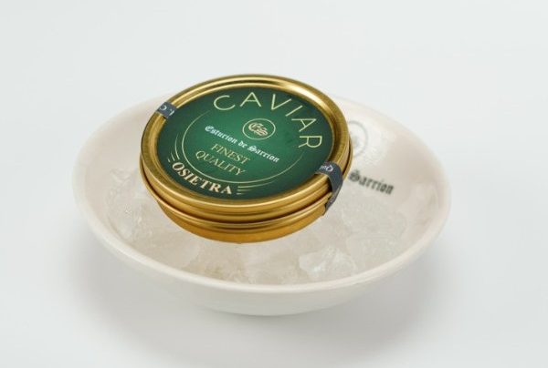 csx0tAvfMYp-